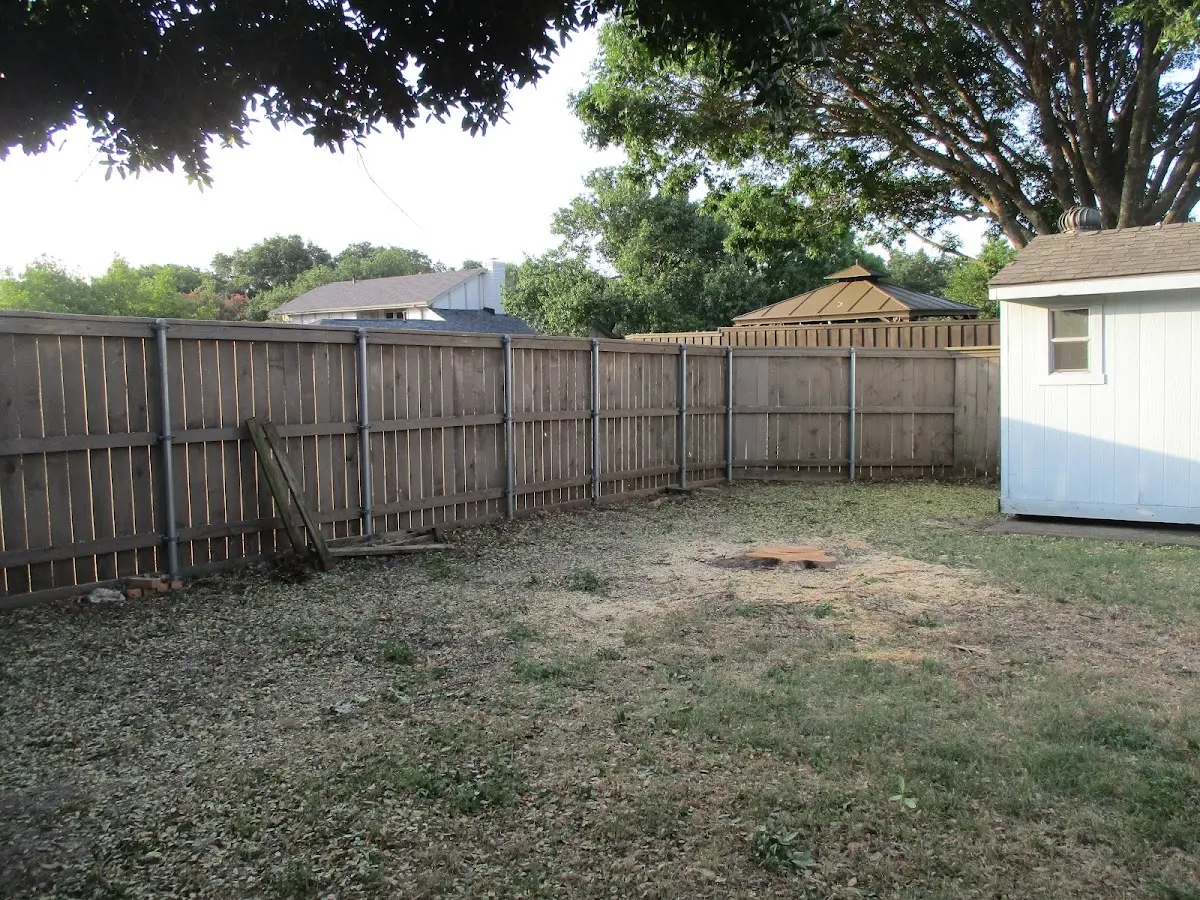 Cleared yard after professional tree removal in East Mc Keesport